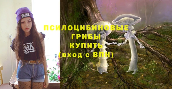 МДПВ Абдулино