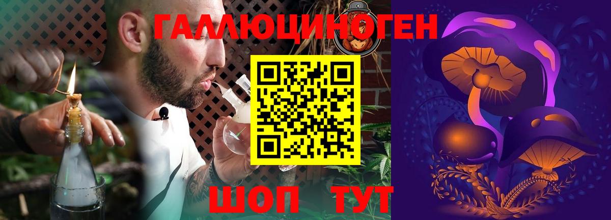 как найти наркотики  Галлюциногенные грибы GOLDEN TEACHER  Вход с VPN  Челябинск 
